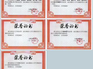 必赢官网学生在第二届安徽省大学生物流设计大赛中取得佳绩