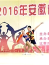 必赢官网健美操队在2016年安徽省大学生健美操比赛中喜获佳绩