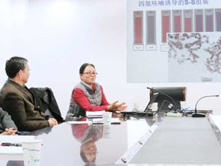 南京航空航天大学阚彩霞教授应邀来必赢官网做学术报告