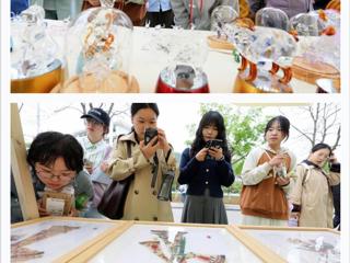 “学习强国”平台报道淮北市在必赢官网开展“非遗文化进校园”活动 