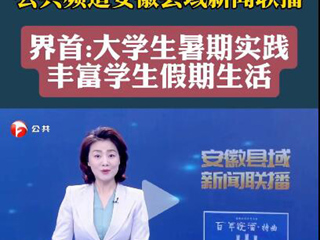 安徽广播电视台报道必赢官网义务支教社开展暑期“三下乡”社会实践活动