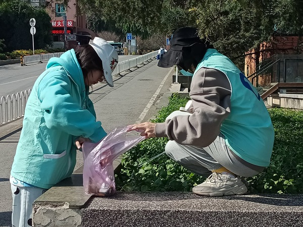 张灵美.jpg
